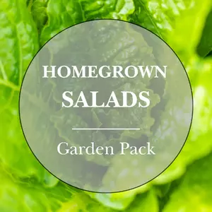 Homegrown Salads Vegetable Garden Pack