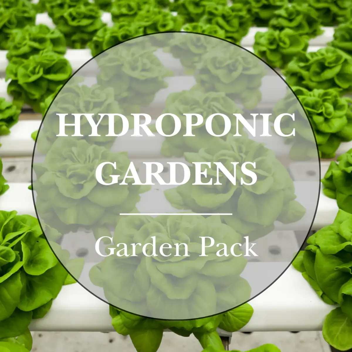 Hydroponic Garden Seed Pack