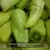 Gypsy F1 Sweet Pepper thumbnail 2