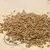Rouge de Bordeaux Wheat thumbnail 1