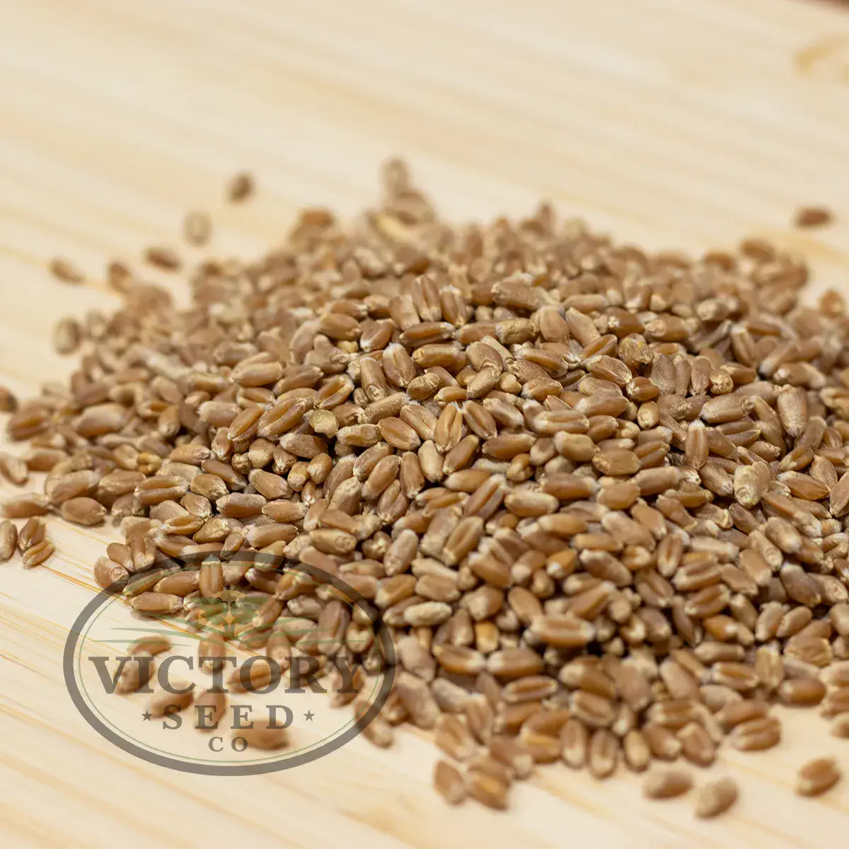 Rouge de Bordeaux Wheat