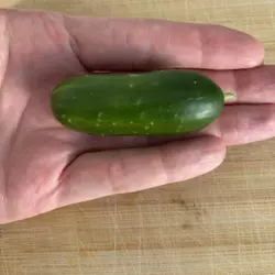 Customer review photo for Quick Snack F1 Cucumber