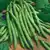 Blue Lake 274 Bush Green Garden Bean thumbnail 1