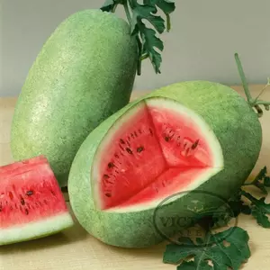 Charleston Gray No. 133 Watermelon