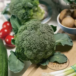 Green Sprouting Calabrese Broccoli