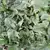 Viroflay (Monstrueux de Viroflay) Spinach thumbnail 1