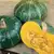 Burgess Buttercup Winter Squash thumbnail 1