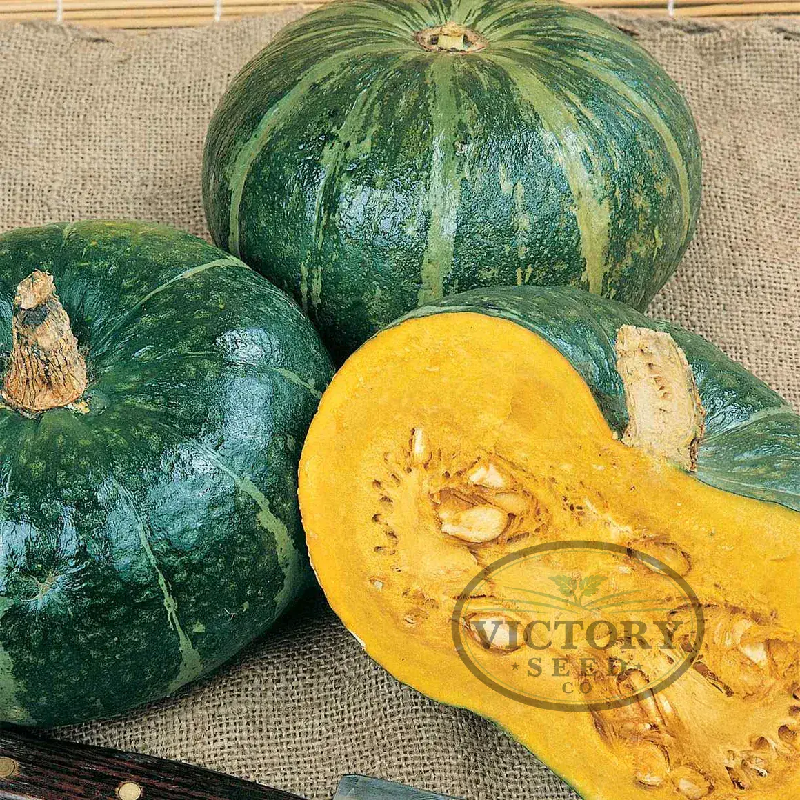 Burgess Buttercup Winter Squash