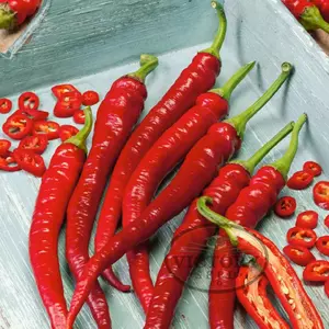 Long Red Cayenne Hot Pepper