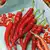 Long Red Cayenne Hot Pepper thumbnail 1