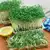 Upland Cress thumbnail 1