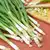 Nebuka Evergreen Bunching Onion thumbnail 1