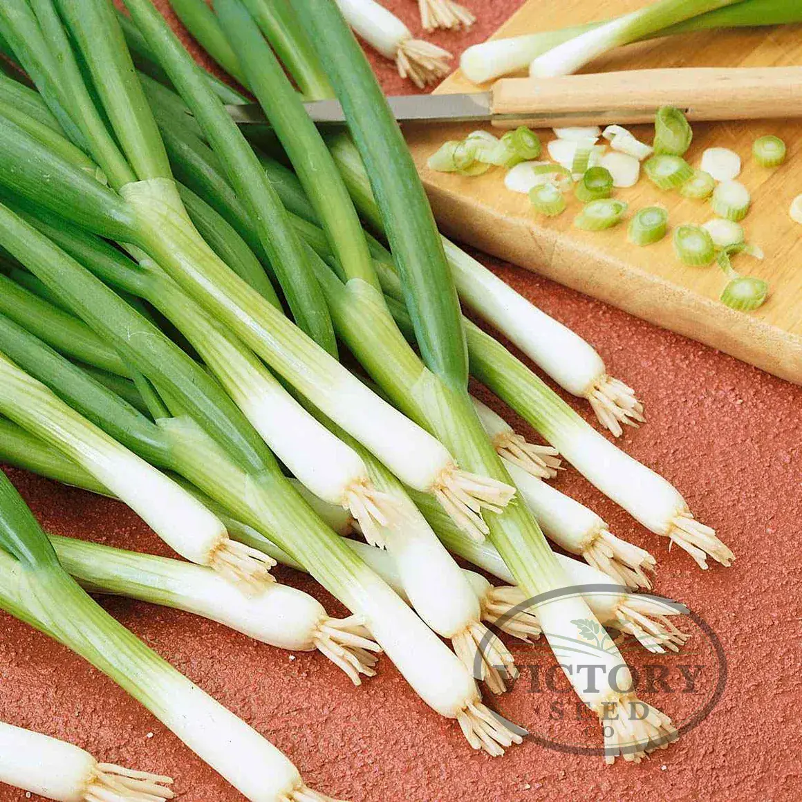 Nebuka Evergreen Bunching Onion
