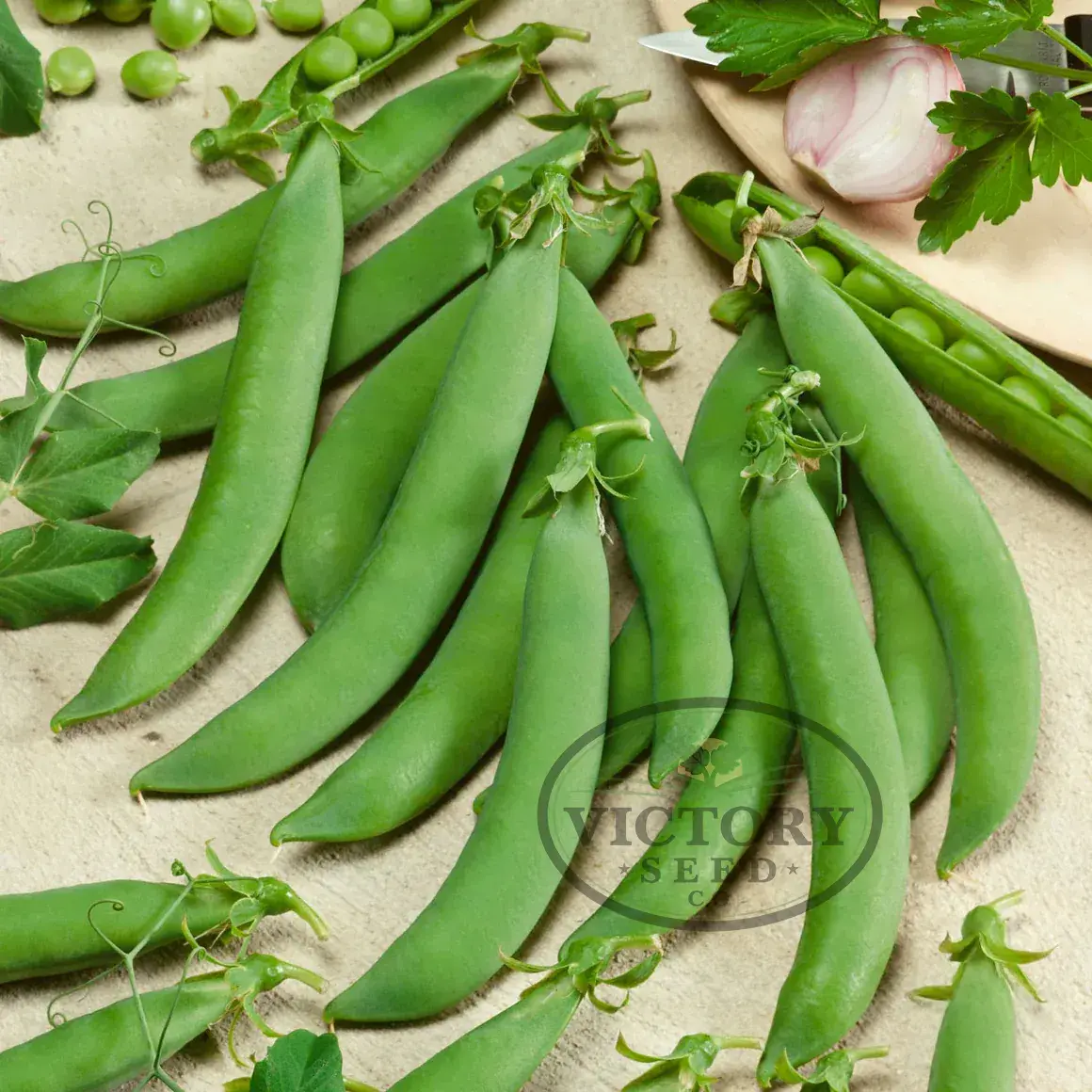 Cascadia Snap Pea
