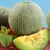 Eden Gem (Rocky Ford Green Flesh) Melon thumbnail 1