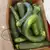 Dark Green Zucchini Summer Squash thumbnail 1