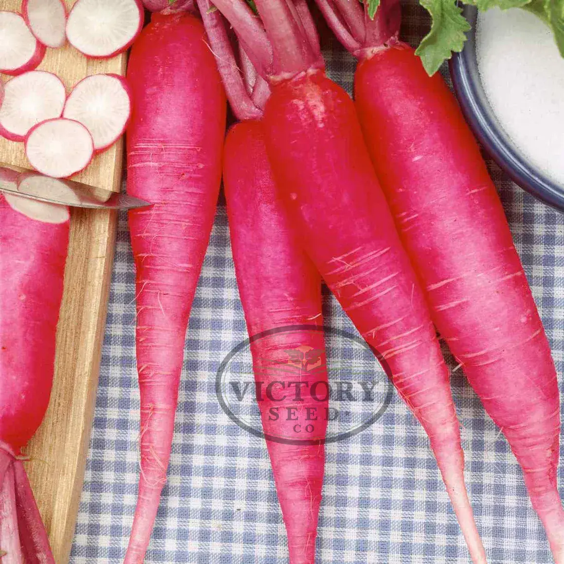 China Rose Radish