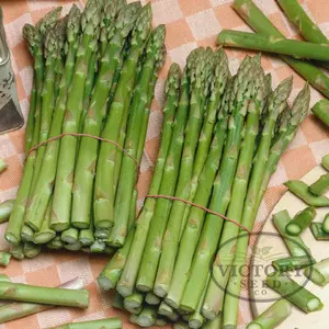 UC-157 F2 Asparagus