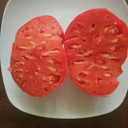 Customer review photo for Hungarian Heart Tomato