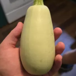 Customer review photo for Lubnani Summer Squash