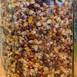 Customer review photo for Miniature Colored Popcorn