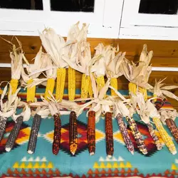 Customer review photo for Homestead Hero Flour Corn