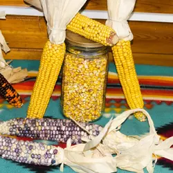 Customer review photo for Homestead Hero Flour Corn