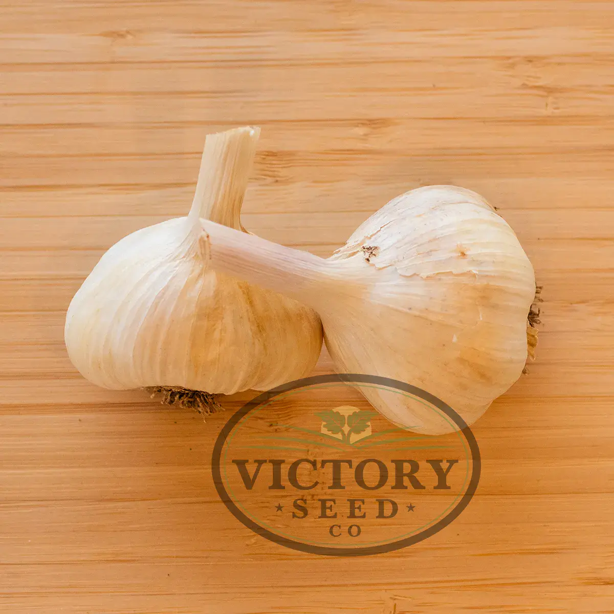 Inchelium Red Garlic (Softneck)