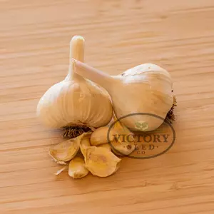 Inchelium Red Garlic (Softneck)