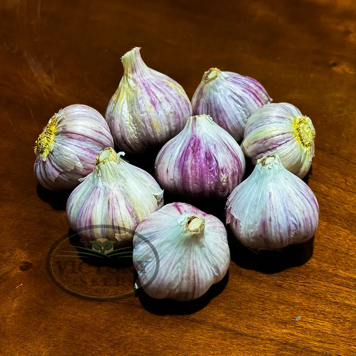Deerfield Purple Garlic (Hardneck)
