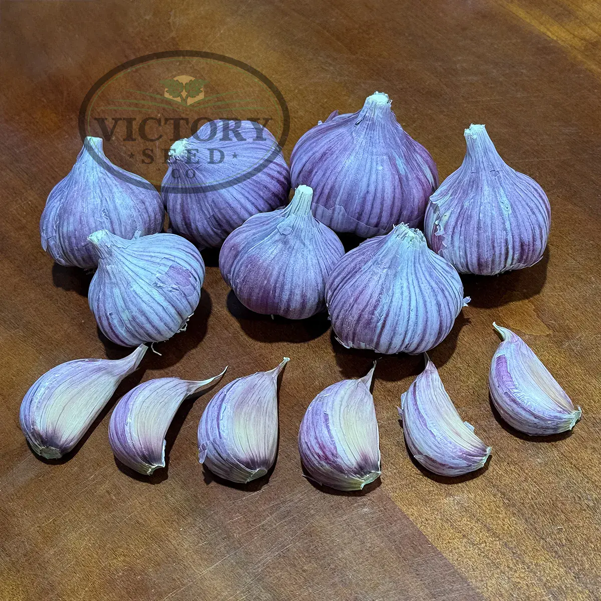 Chesnok Red Garlic (Hardneck)