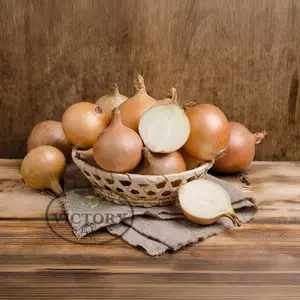 Candy F1 Onion