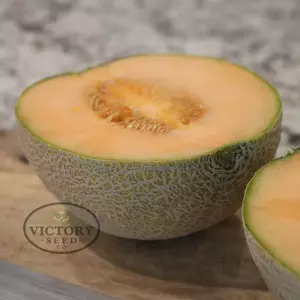 Ambrosia F1 Melon