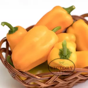 Just Sweet F1 Pepper
