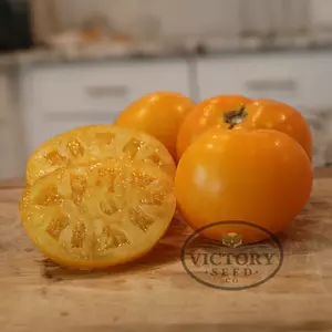 Lemon Boy Plus F1 Tomato