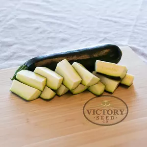 Anton F1 Zucchini Summer Squash