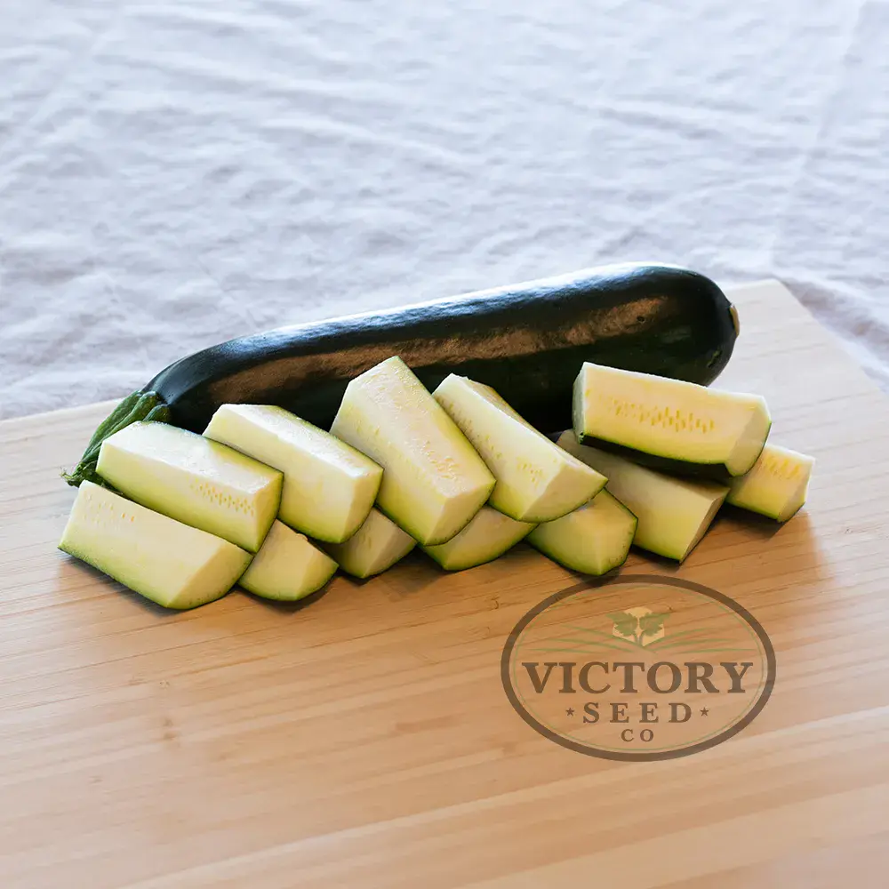 Anton F1 Zucchini Summer Squash