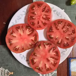 Customer review photo for Fred's Tie Dye Tomato