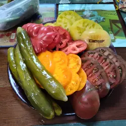 Customer review photo for Fred's Tie Dye Tomato